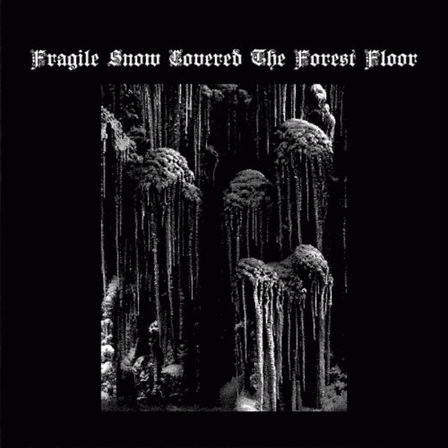 Vuajtje : Fragile Snow Covered the Forest Floor